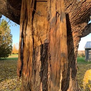 Wildhorse Apparel cardigan